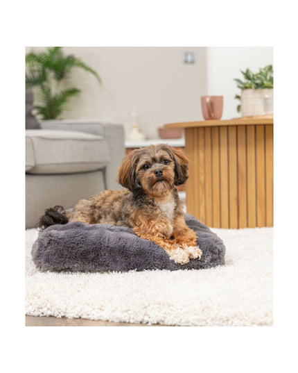 V3H838CA01968793EF59BB2D50EFCFE90ECR7449388P9