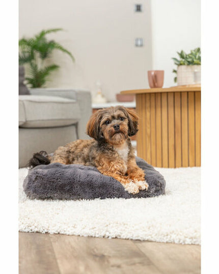 V3H62713327C4C64DC81D4D99B9CDFEF9C9R7449389P10