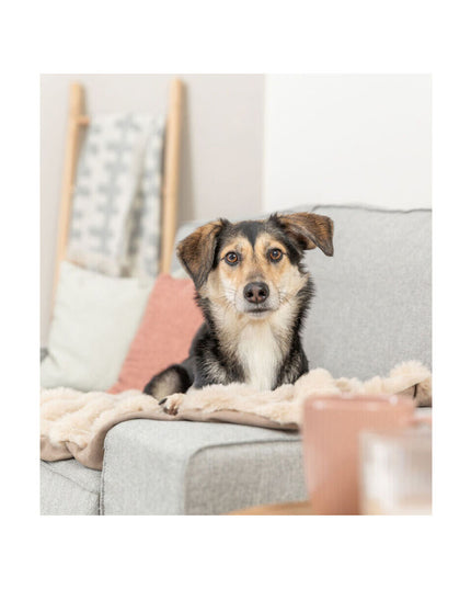 V3H201FC9E402785D946AC8F91603C0C3A5R7449457P3