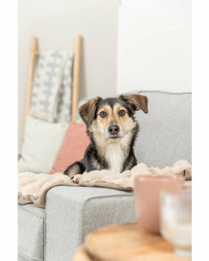 V3H71A58A47DA96D0433A9F5789F1845AA5R7449458P4