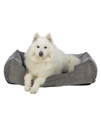 V2H826C40E9E86CE0D9C9A88220215862DCR7426568P7