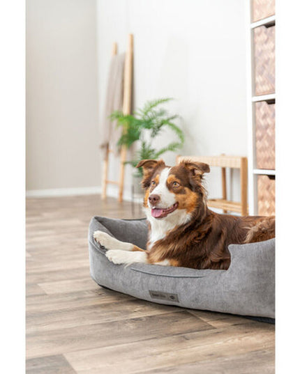 V2HAD4C711C3D582B1F37DFE7F5DCE046CDR7426047P6