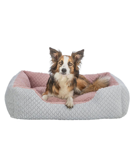 V3HC4620603C16F00859B2D519B71ADF123R7464054P7