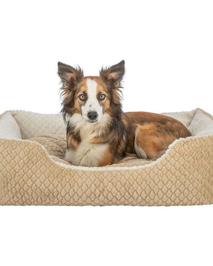 V3H179FC46DD7AAC3425D2C0AC6A9B06D4AR7453146P8