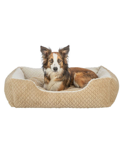 V3H48D4AB1A021967B7436CB00559021BC0R7450252P7