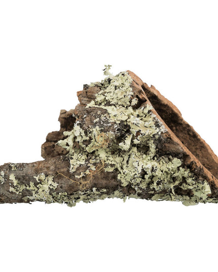 V5H96D7B8F8752F37C0698593CF236FE13CR7446165P1