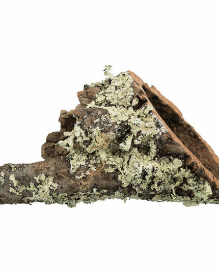 V5HB4A7A7FCB51EBBDFF49C3353424CB28FR7446167P2