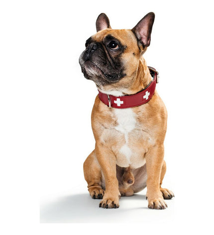 Hunter Swiss red and black dog collar for medium-sized dogs, adjustable, with sturdy buckle and stylish design.