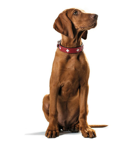 Hunter Swiss Rood/Zwart dog collar for medium dogs, adjustable 38-43.5 cm, made of durable material with red and black design.