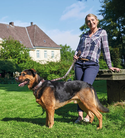 Hunter Swiss dog collar in black, adjustable 35-43 cm, made of durable material, suitable for medium-sized dogs.