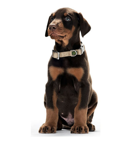 Hunter Alu-Strong black dog collar for small dogs, adjustable size 30-45 cm, sturdy and lightweight pet accessory.