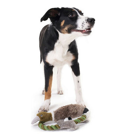 Hunter Wildlife Train dog toy with duck, 26 cm, soft plush material and attached rope for dogs to chew and play.