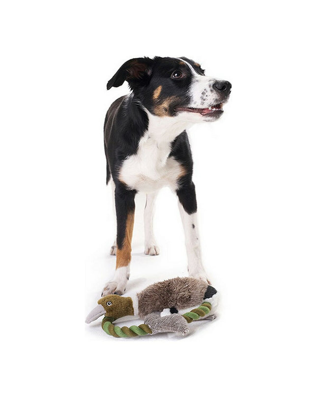 Hunter Wildlife Train dog toy with duck, 26 cm, soft plush material and attached rope for dogs to chew and play.