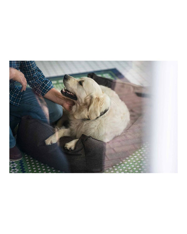 Hunter Boston dog bed in brown, 60x50 cm, comfortable pet furniture for dogs with soft fabric and supportive design.