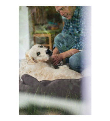 Hunter Boston dog bed in brown, 60x50 cm, soft fabric with raised edges for comfort and support.