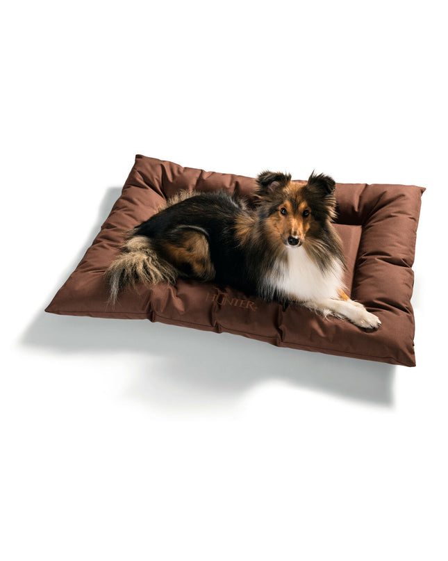 Hunter Gent brown antibacterial dog bed, 100x70 cm, with soft fabric and raised edges for comfort and support.