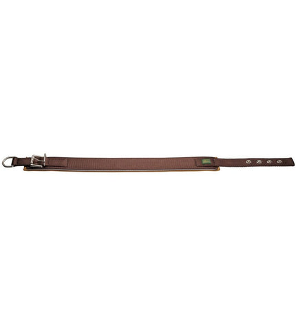 Hunter Neoprene Reflect dog collar in brown with reflective strip, adjustable for dogs 39-46 cm, durable and comfortable.
