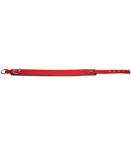 Hunter neoprene dog collar with red reflective strip, designed for safety and comfort in outdoor walks.