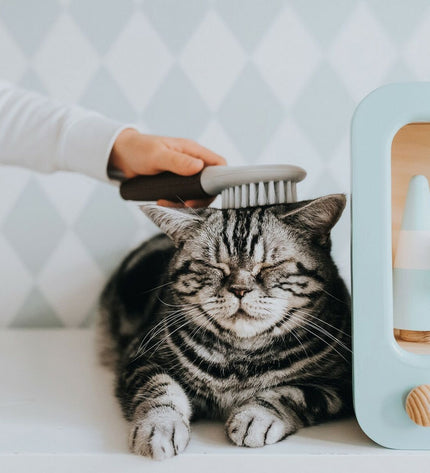 Hunter Extra Soft dog grooming comb with fine metal teeth for gentle, effective pet hair brushing.