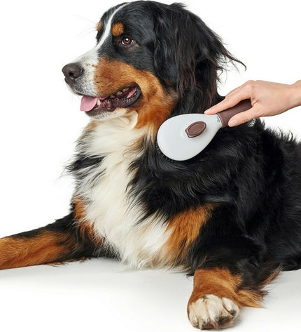 Hunter self-cleaning dog hair brush with ergonomic handle and bristles for removing loose fur from pets.