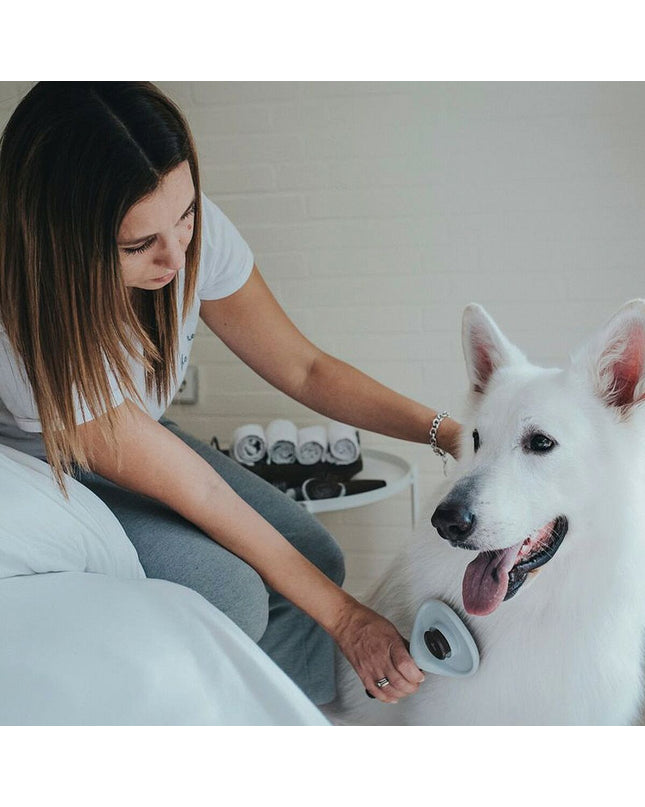 Hunter Zelfreinigend Rugkammen borstel for dogs, showing the self-cleaning dog grooming tool with bristles in the image.