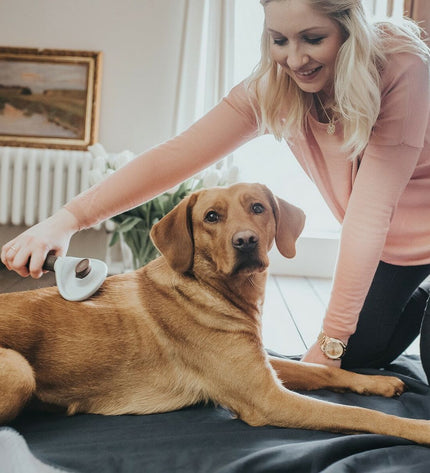 Hunter Dematteerkam voor honden, dierenverzorgingskam, 51x37x33 cm, grooming tool voor hondenverzorging