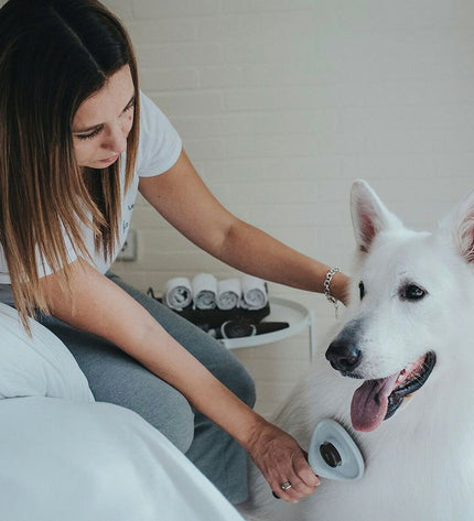Hunter Dematteerkam for dogs, pet grooming brush with ergonomic handle, suitable for de-matting and detangling dog fur.