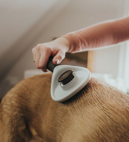 Hunter Dematteerkam for dogs, 51x37x33 cm, pet grooming tool with ergonomic handle, designed for easy de-matting and grooming.