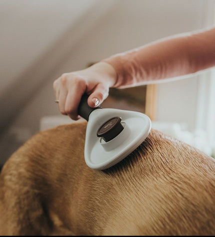Hunter Zelfreinigende Haarborstel voor honden, geschikt voor dierenverzorging, met ergonomisch ontwerp en zelfreinigend mechanisme.