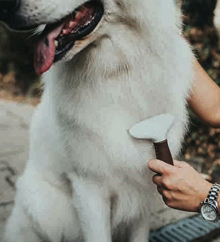 Hunter Ontwar Haarborstel for dogs, showcasing the ergonomic brush with metal pins for detangling and grooming pets.