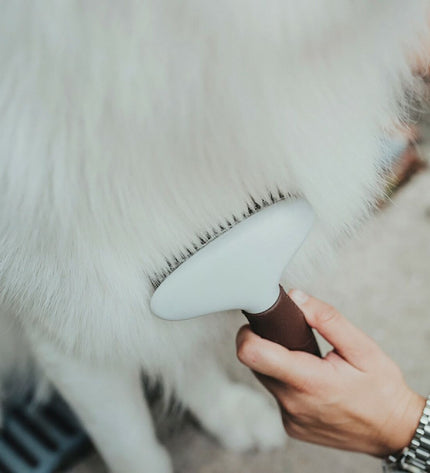 Hunter Ontwar Haarborstel for dogs, a sturdy grooming brush with metal teeth for easy detangling and grooming of canine coats.