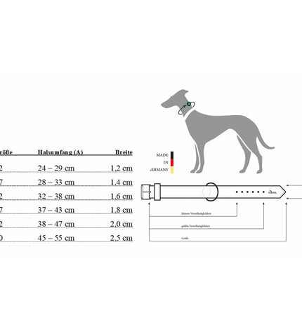Hunter Aalborg brown dog collar for small/medium dogs, adjustable 37-43 cm, shown on a dog in a natural setting.