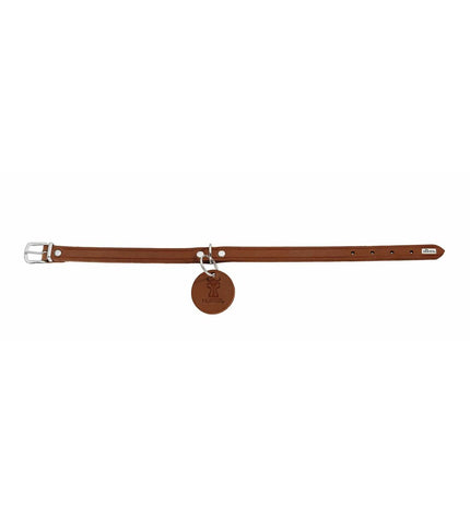 Hunter Aalborg brown dog collar for medium-sized dogs, adjustable 12-38 cm, made of durable material.