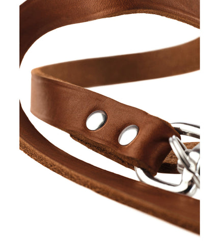 Hunter Bruin 200 cm dog leash with sturdy brown nylon strap and metal clasp, designed for secure dog walking.