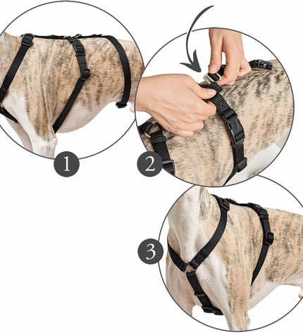 Red Hunter dog harness for small/medium dogs, adjustable 48-70 cm, featuring sturdy straps and secure buckle for comfortable fit.