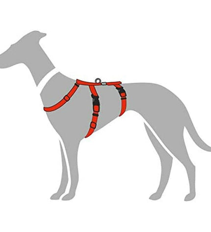 Hunter red dog harness for small to medium breeds, adjustable 48-70 cm, with a 36-51 cm neck size, shown on a dog.