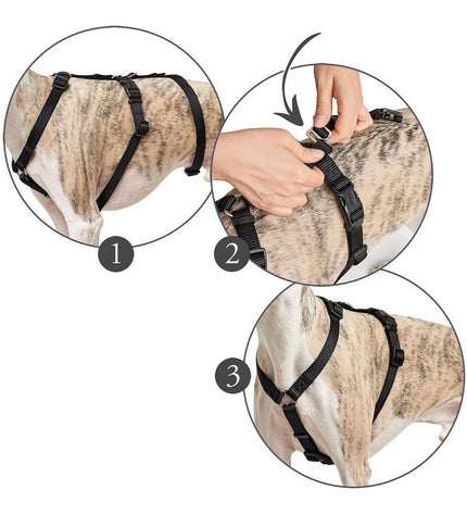 Black Hunter dog harness for medium/small dogs, 48-70 cm, adjustable, made of durable material for comfortable walking.