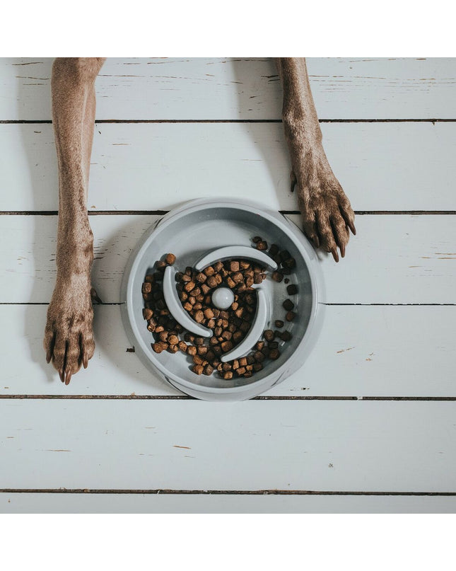 Hunter Melamine dog food bowl in white with 550 ml capacity, designed for feeding dogs, made from durable melamine material.