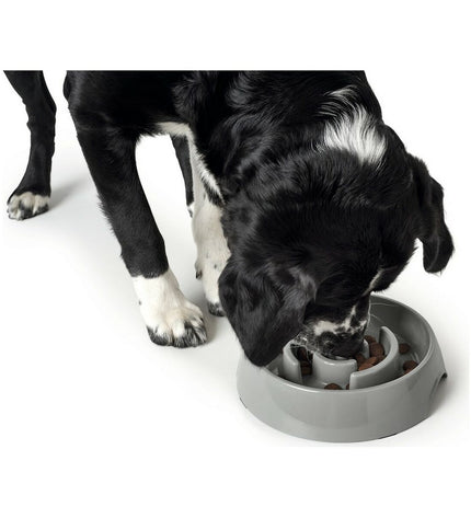 Hunter melamine dog feeding bowl with 550 ml capacity, featuring a durable, easy-to-clean design for pet feeding.