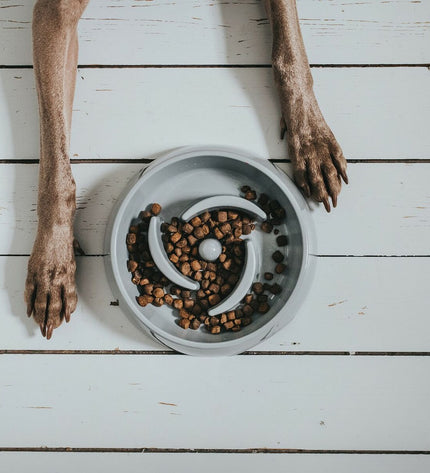Hunter Melamine dog food bowl with 900 ml capacity, durable white plastic dish for feeding dogs, shown on a neutral background.