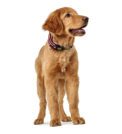 Red Hunter Plus dog collar for large dogs, size L (40-60 cm), featuring durable wire design for comfortable pet control.