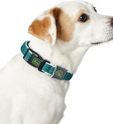 Hunter Basic Draad dog collar in lime, size M (33-50 cm), adjustable dog accessory with metal buckle for pets.