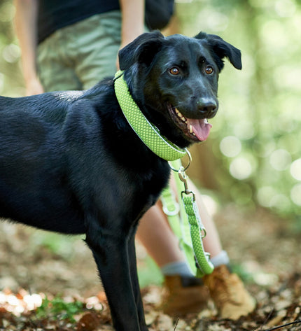 Hunter Vario Plus dog collar in lime green, size large (40-60 cm) with adjustable woven design for dogs.