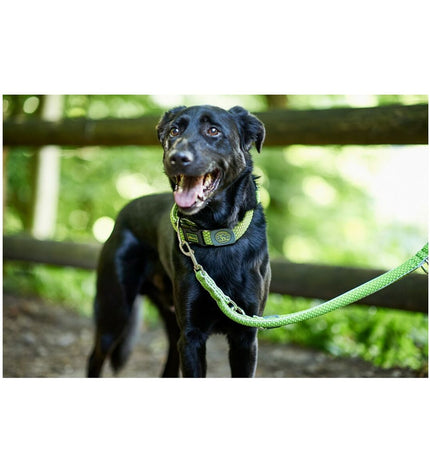 Hunter HILO Limoen dog leash in green, 200 cm long, made for dogs, featuring a sturdy design and comfortable grip.