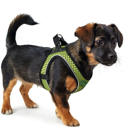 Hunter Hilo-Comfort lemon-colored dog harness for small dogs, adjustable size 30-35 cm, made of durable material.