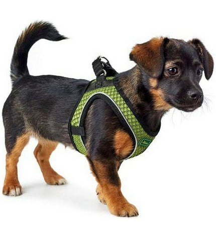 Hunter Hilo-Comfort dog harness in lime green, size S, with adjustable straps for dogs 42-48 cm neck circumference.
