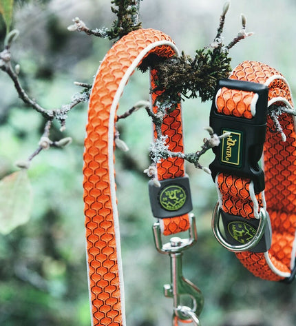 Hunter Basic Draad hondenhalsband in oranje, maat M (33-50 cm), met duurzame draadontwerp en verstelbare pasvorm voor honden.
