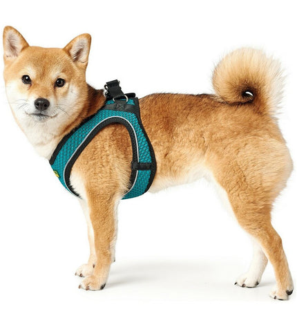 Hunter Hilo-Comfort turquoise dog harness for small dogs, XS size (35-37 cm) with adjustable straps and padded comfort.