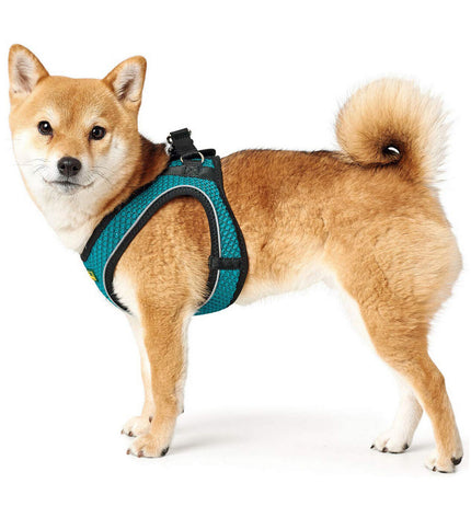 Hunter Hilo Comfort dog harness in turquoise, size M for 55-60 cm neck, made for comfortable and secure dog walking.
