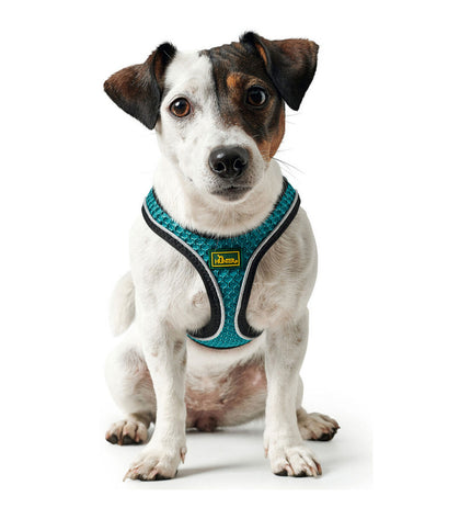 Hunter Hilo Comfort dog harness in turquoise, size M, adjustable for 55-60 cm neck, made for comfort and control.